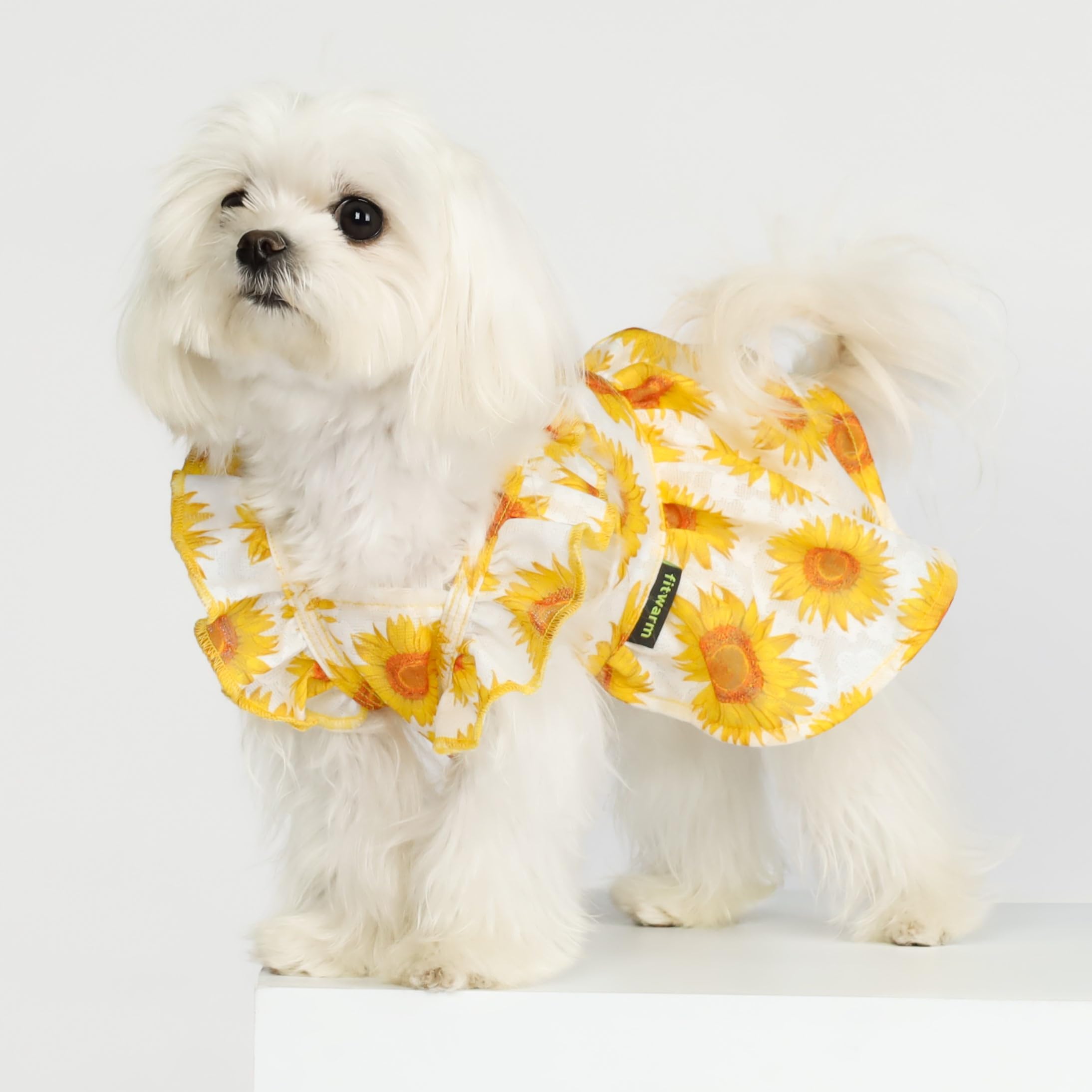 Fitwarm Dog Sunflower Dress, Dog Clothes for Small Dogs Girl, Pet Cat Apparel, White, Yellow, Red, Medium