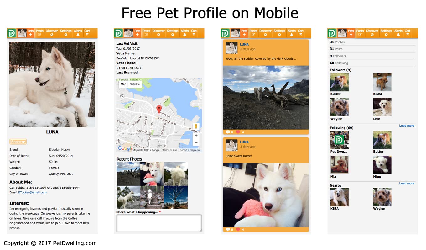 Buy Pet Dwelling Smart QR CodeNFC Pet ID Tag Dog Tags Cat Tags