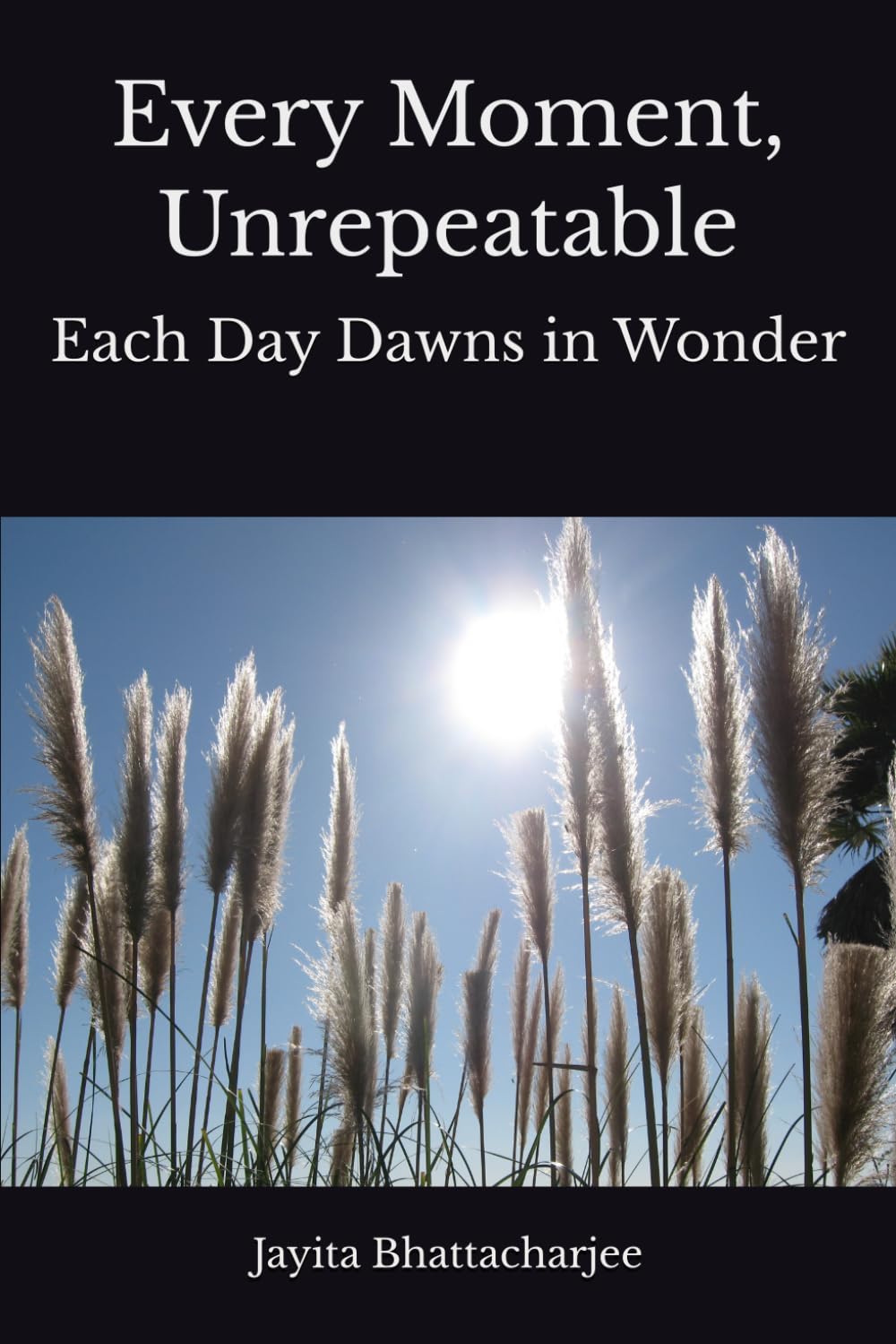 Every Moment, Unrepeatable: Each Day Dawns in Wonder