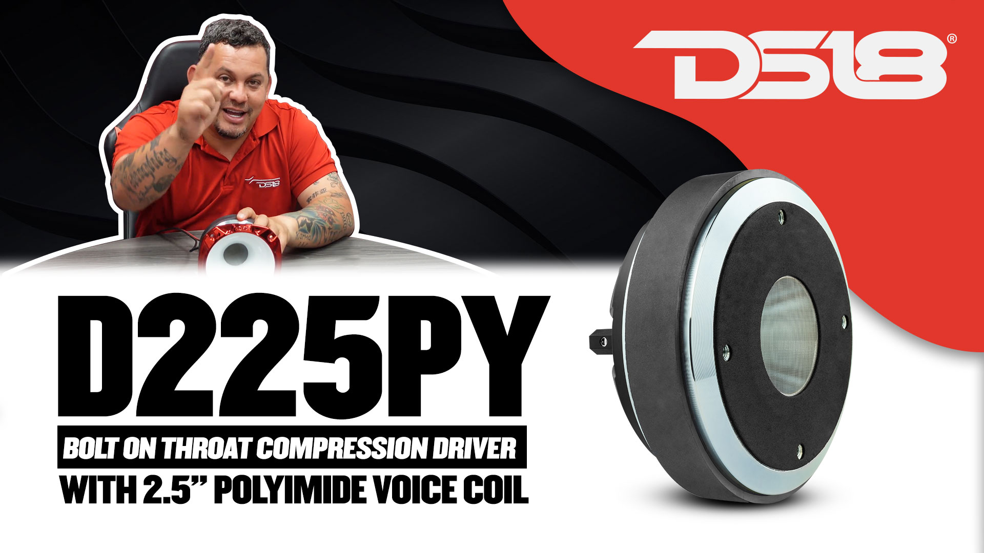 Amazon.com: DS18 D225PY 2