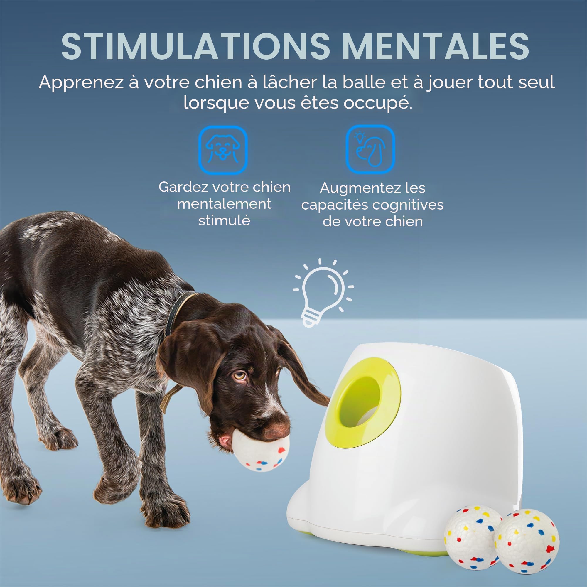 ALL FOR PAWS Lanceur automatique de balles pour chien, lanceur de balles interactif pour chiens de grande et grande taille, jouet interactif rechargeable avec 3 à 12 m, 6 pièces ETPU