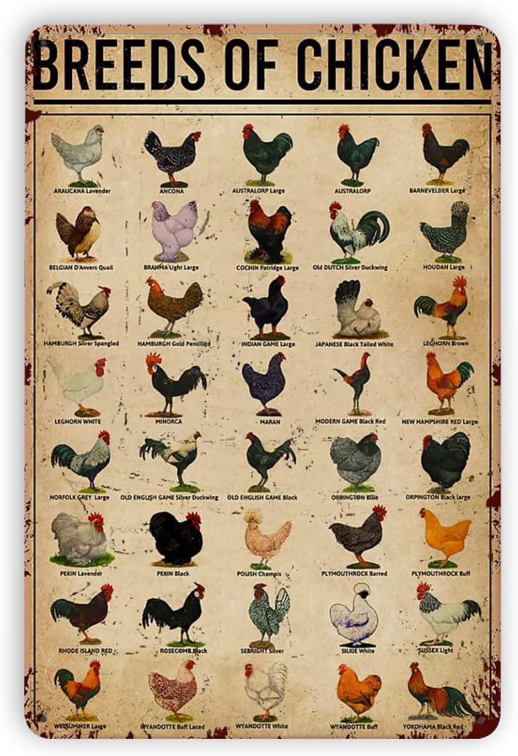 Haosensix Retro Metal Signs Breeds Of Chickens Tin Sign Vintage Metal Poster Plaque Animal Home Farmhouse Decor Knowledge Aluminum Sign Gift 8x12 Inches