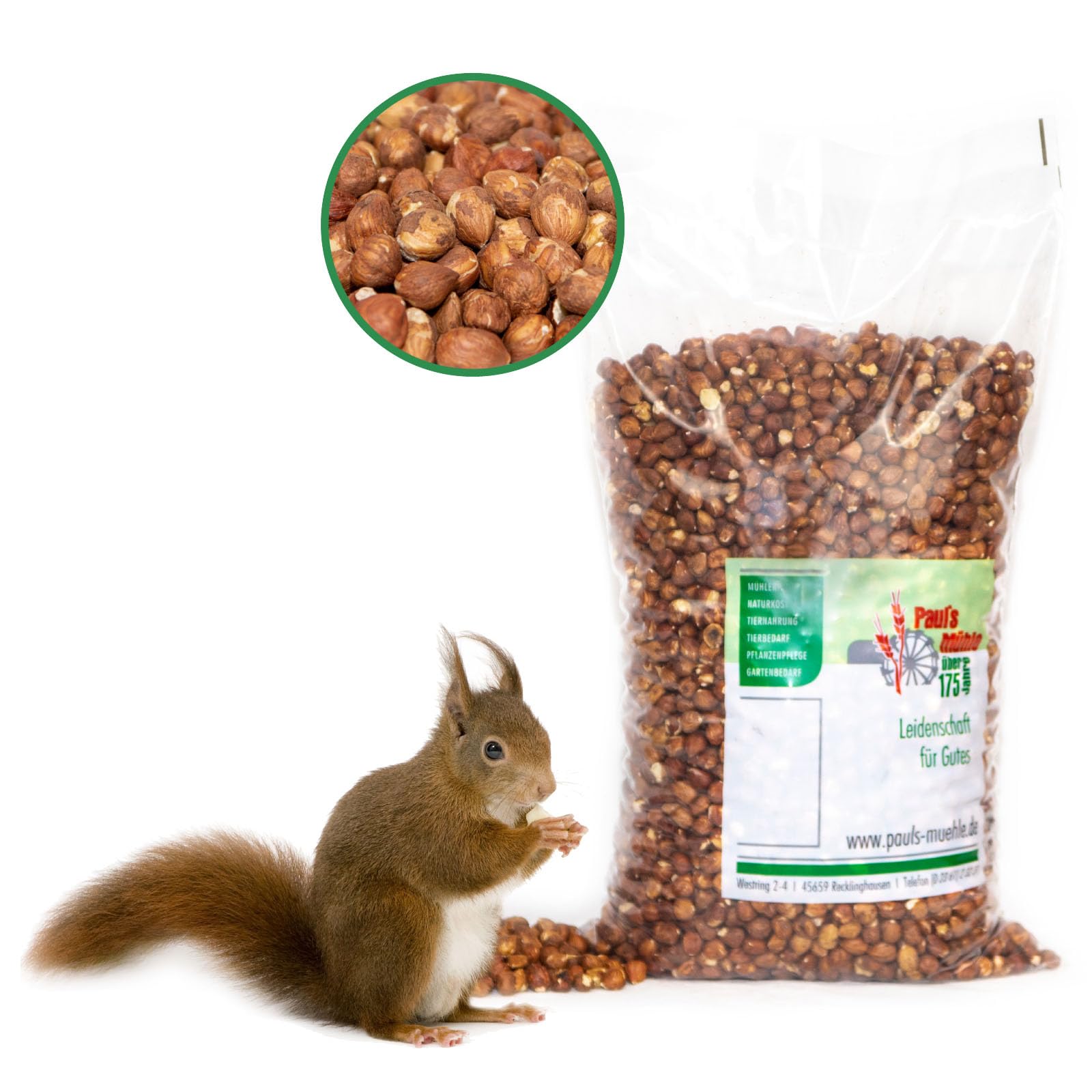 Paul's Mühle Haselnusskerne mit Haut Premium Speisequalität, 10kg