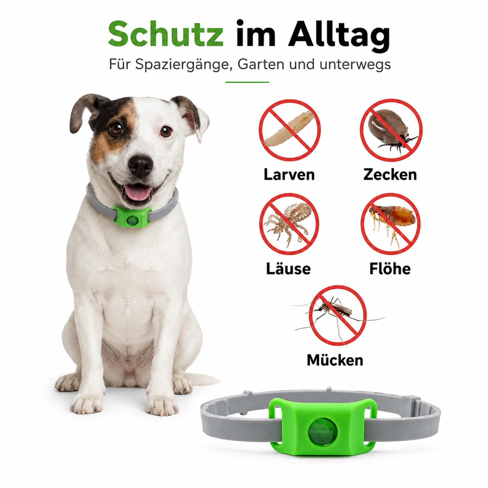Hunde Anhänger fürs Halsband, Outdoor-Saison Begleiter für Wiesen, Wald & Garten, wasserabweisender Haustieranhänger, Hundezubehör für kleine, mittelgroße & große Hunde