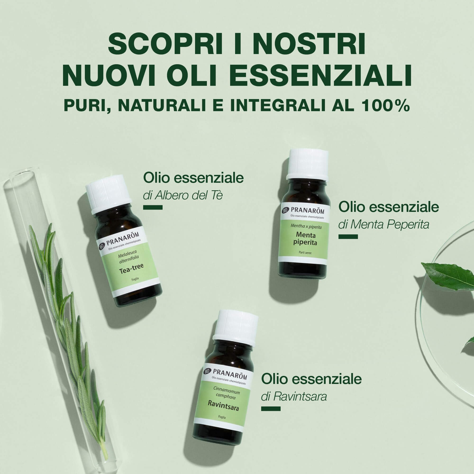 PRANARÔM - Menta Piperita BIO - Olio Essenziale Chemiotipizzato - Digestione & Tonificazione - 100% Puro E Naturale - OECT - 10 ml