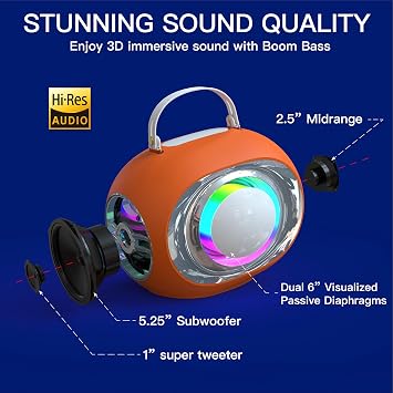 Karaoke Machine, Bluetooth Speaker with Dual Visualized Passive Radiators, 2 Microphones and PA System and Disco Light, Bass/Treble/Echo, Supports TV/TF/USB/AUX/Live for Home Party, Outdoor (Orange)