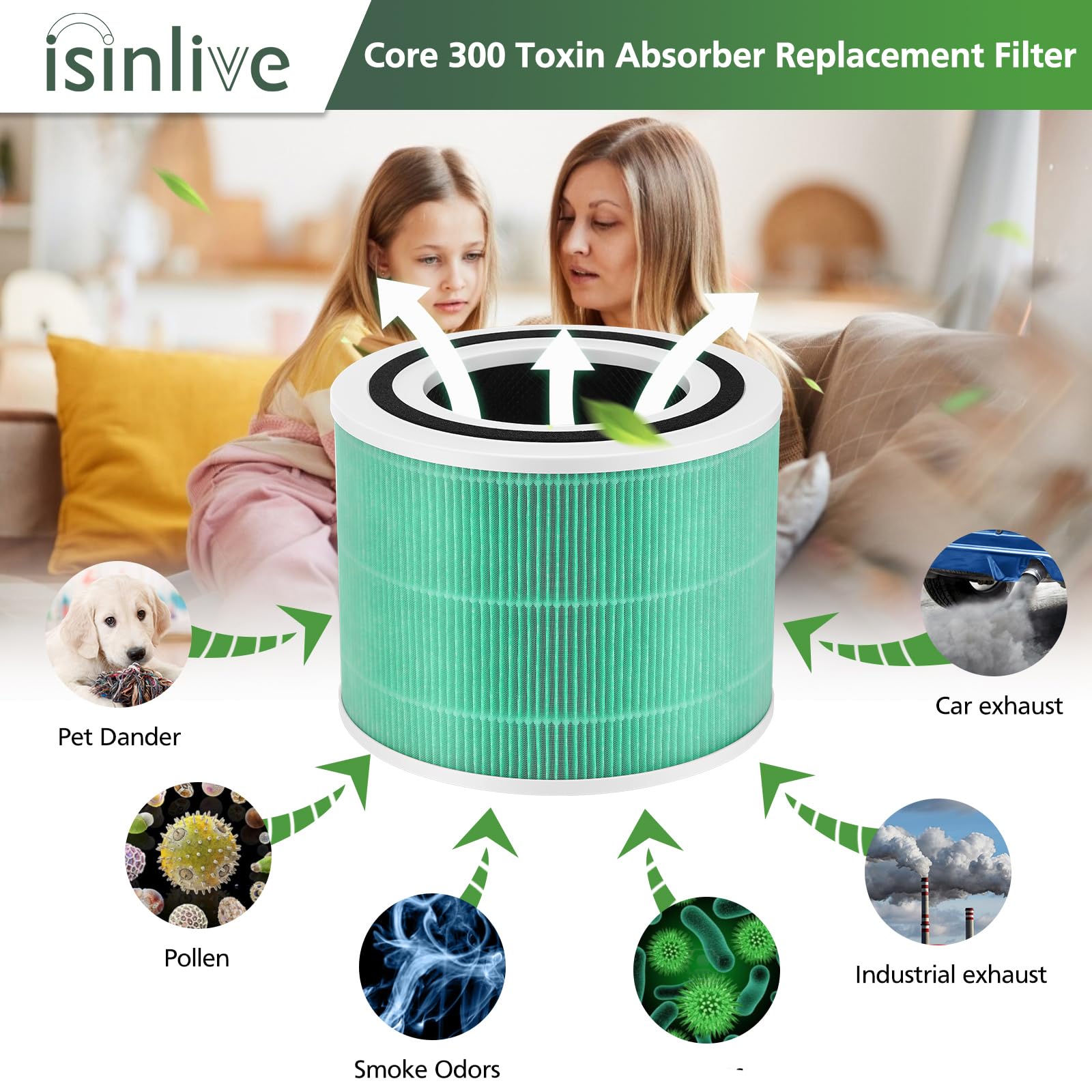 Amazon.com: Core 300 Toxin Absorber Replacement Filter for LEVOIT