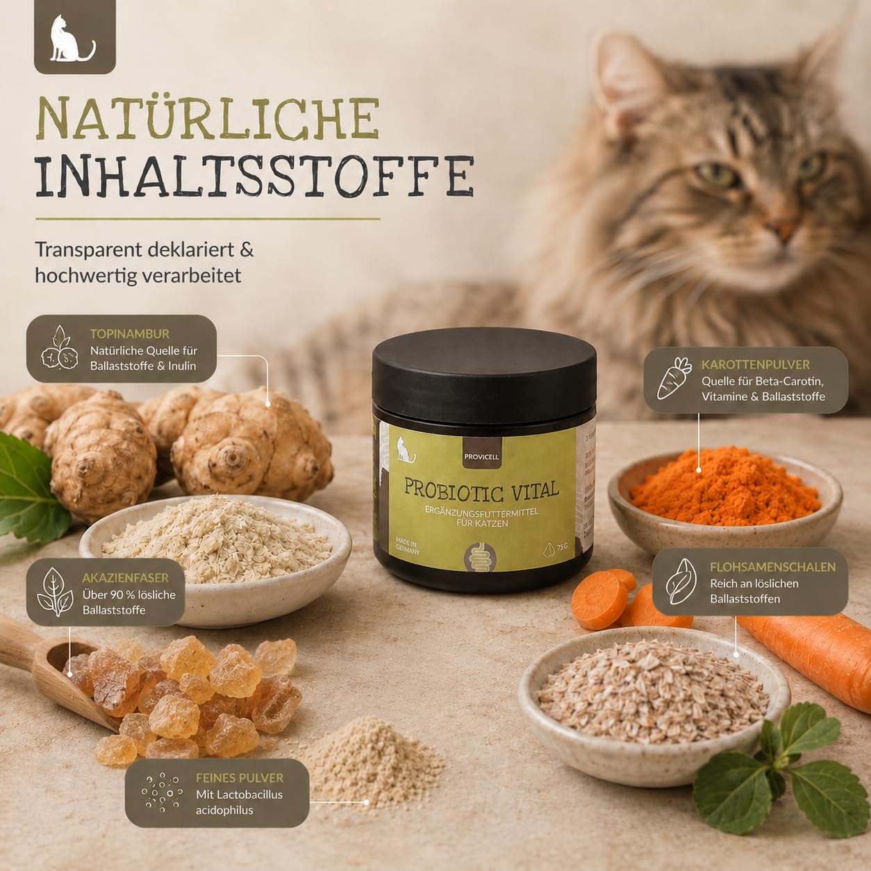 Probiotic Vital Katze - Probiotika & Präbiotika Pulver für Katzen 75g – Unterstützt die Normale Verdauung – Nur 1 Bakterienstamm & Ballaststoffe - Mit Tierärzten in Deutschland entwickelt