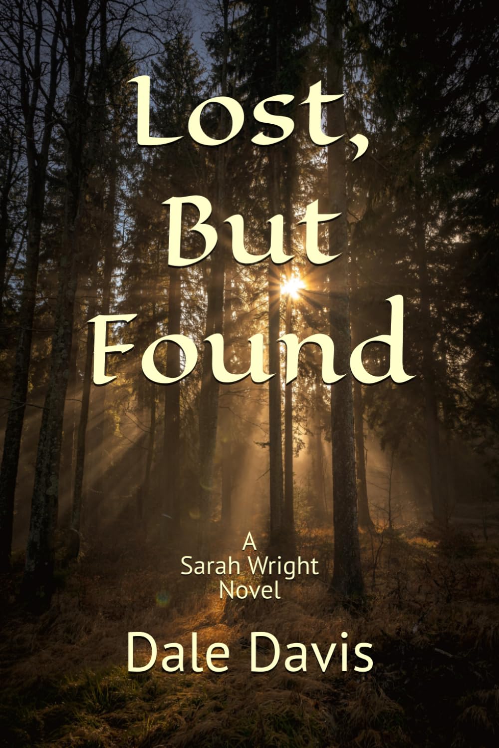 Lost, But Found: A Sarah Wright Novel (The Sarah Wright Series)