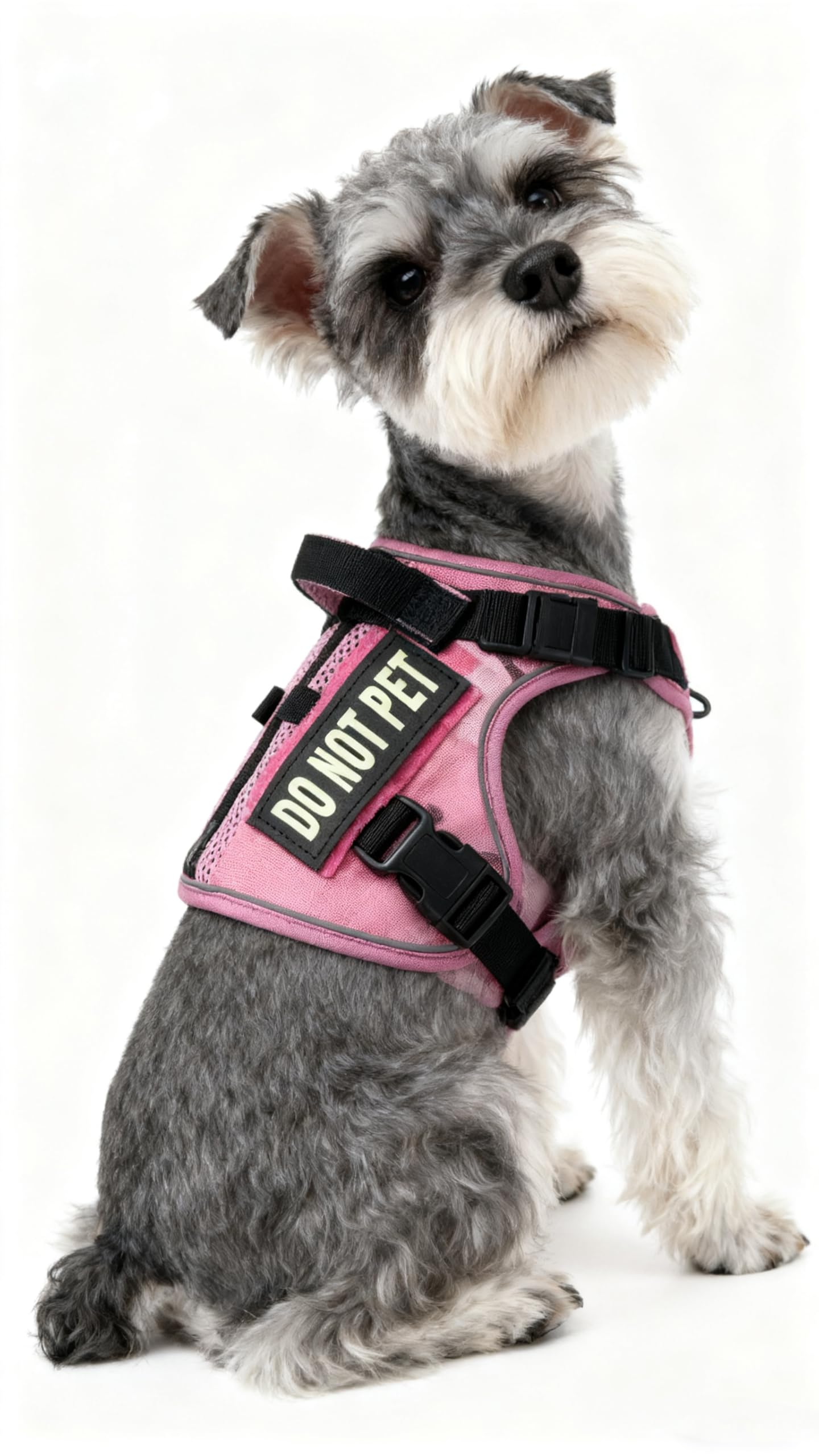Dnallrino Tactical Dog Harness