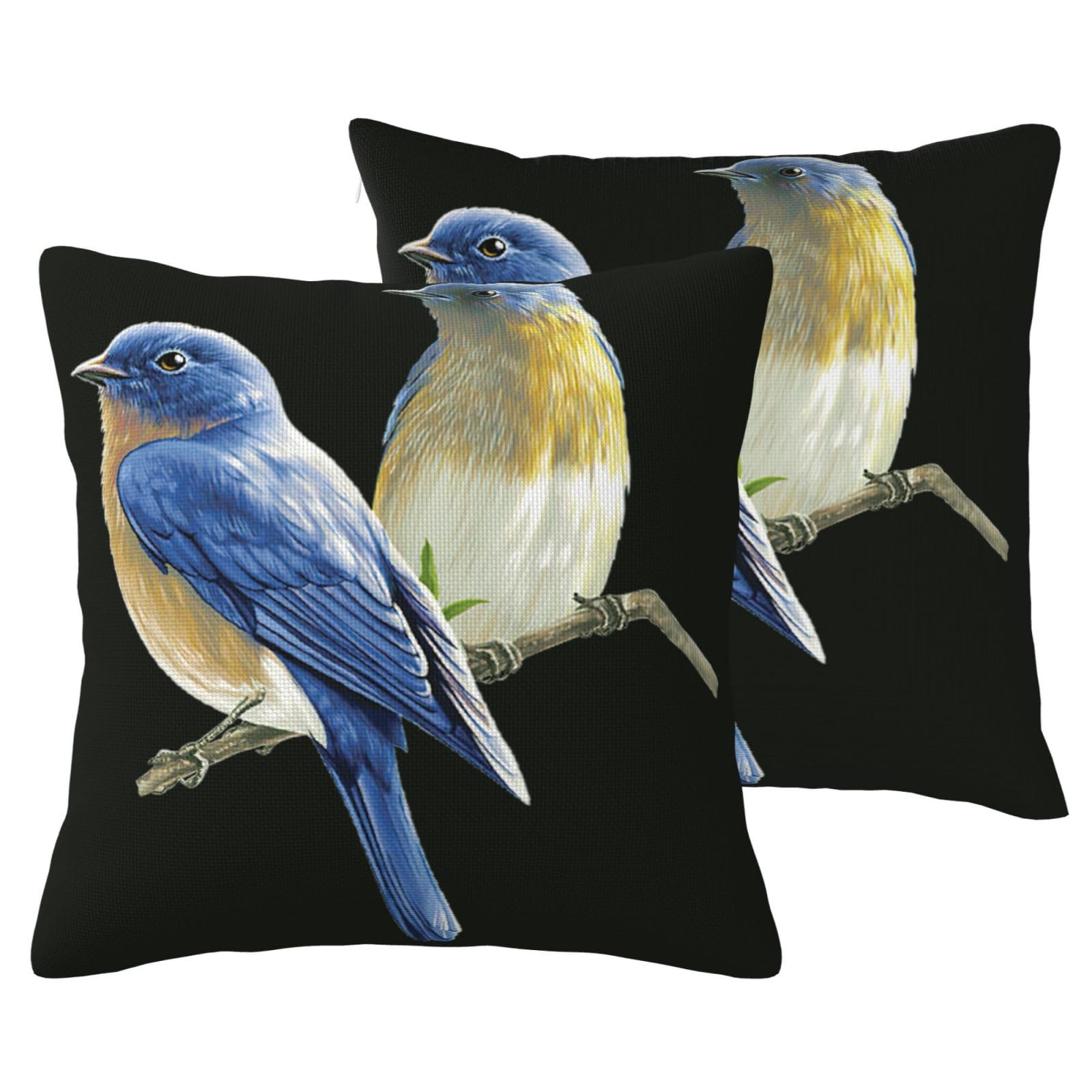 Housse de coussin oiseaux pour sublimer un canape terne