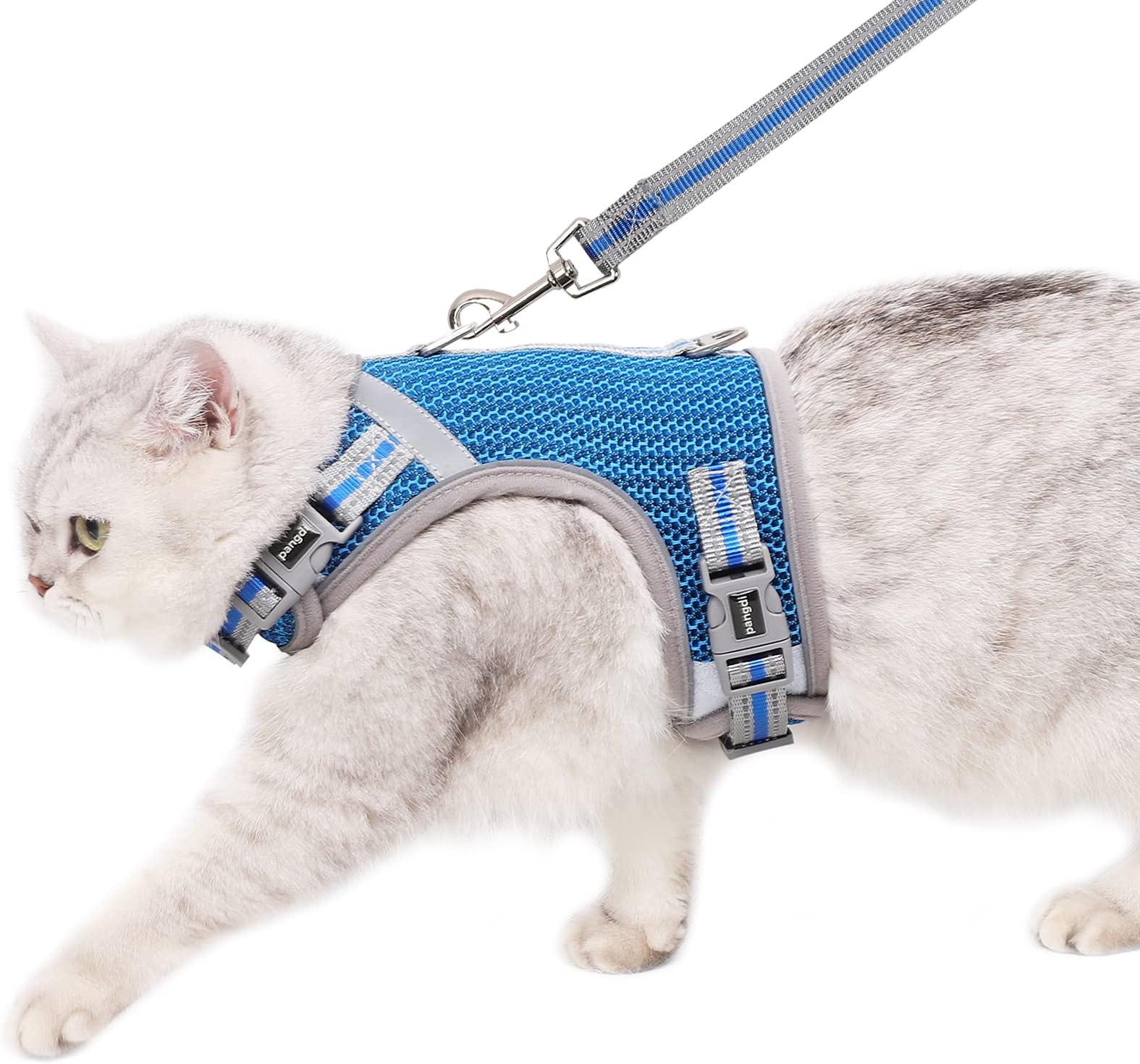 pangdi Cat Harness and Leash Set Escape Proof Large Tactical Travel Cat Leash for Walking Adjustable Small Kitty Holster Kitten Harness Emotional Support Service Cat Vest-Blue-L