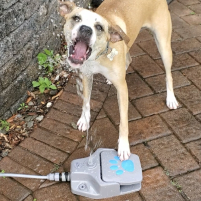 FURUISEN Dog Water Fountain Outdoor, Dog Sprinkler Toy Step on, Paw Activated Dog Drinking Fountain Water Dispenser for… - Image 8