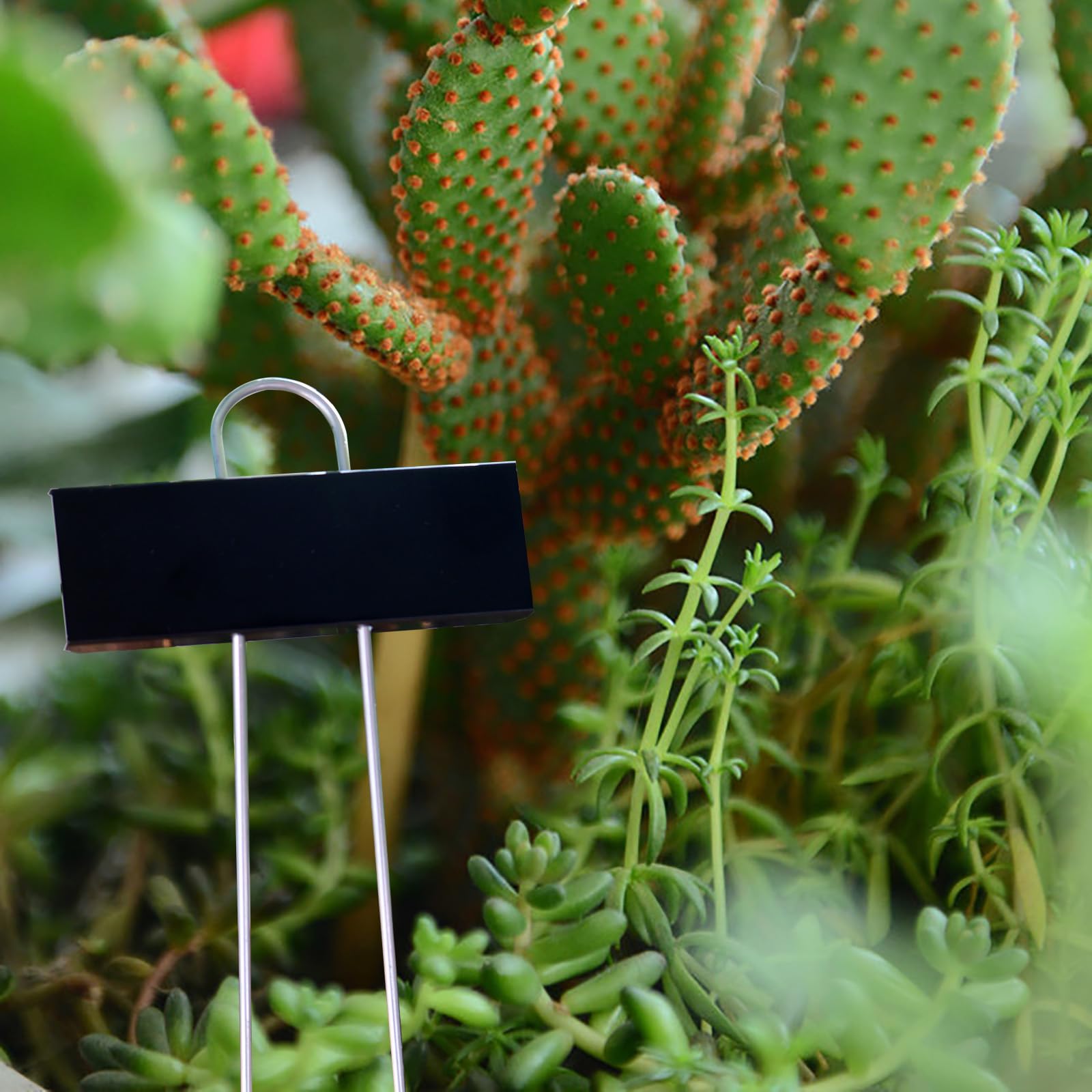 Lot de 30 étiquettes en métal en acier inoxydable résistant aux intempéries pour plantes de jardin avec stylo pour semis, fleurs, herbes, légumes (noir)