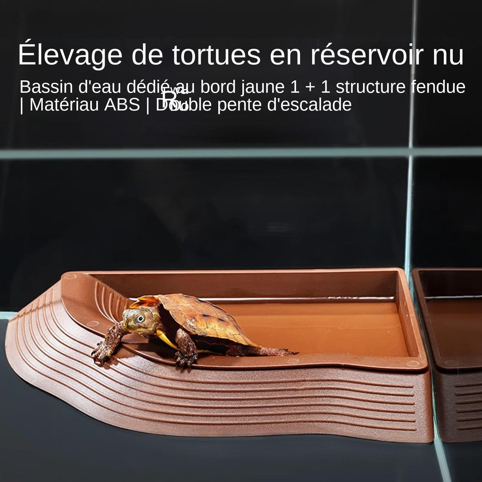 di Cibo per Tartaruga, d'acqua per Tartaruga | d'Acqua per Rettili | di Acqua di Tartaruga Multifunzionale, Piscina di Balneazione Tartaruga Piscina di Tarta