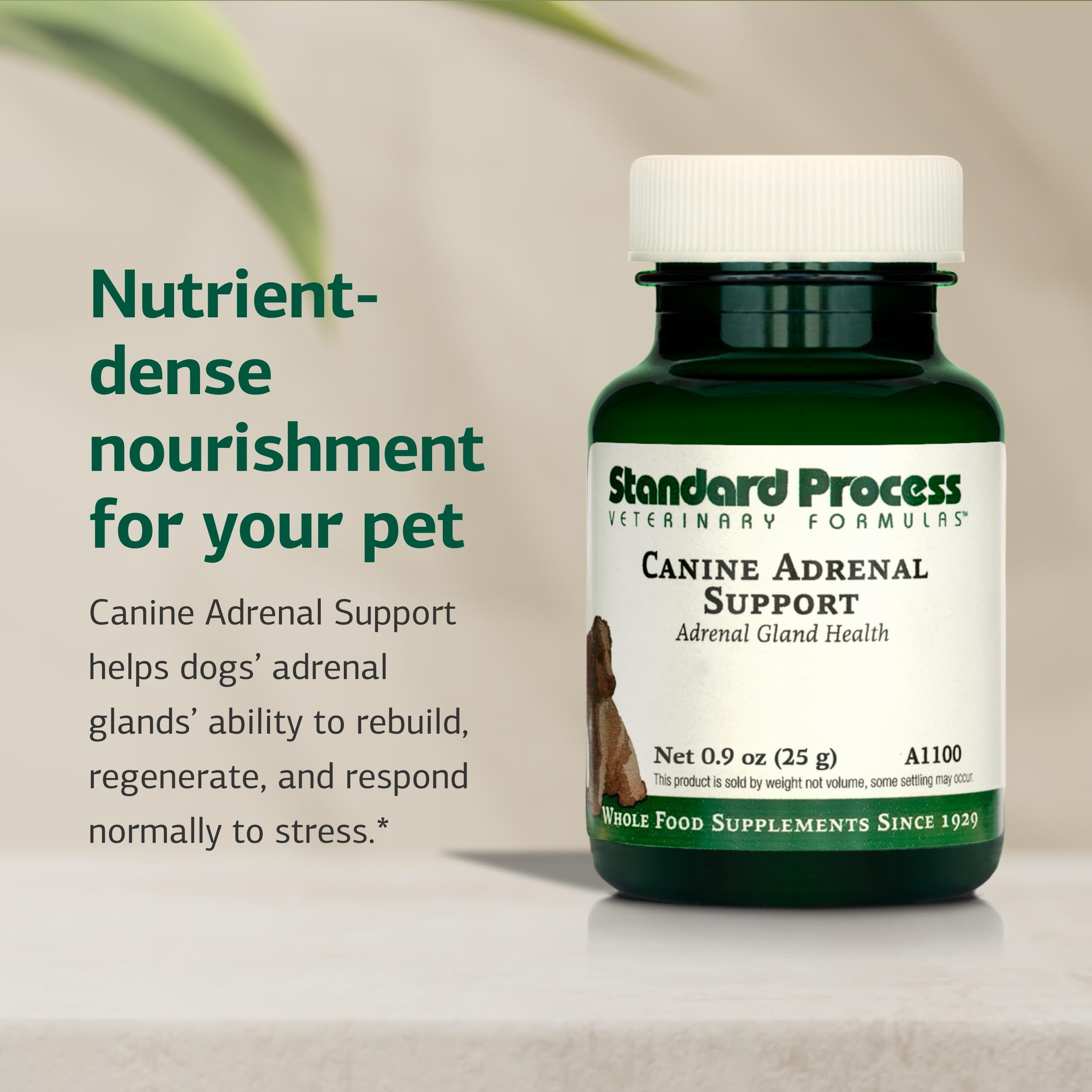 Standard Process Canine Adrenal Support, 25 g — Amazon image 3