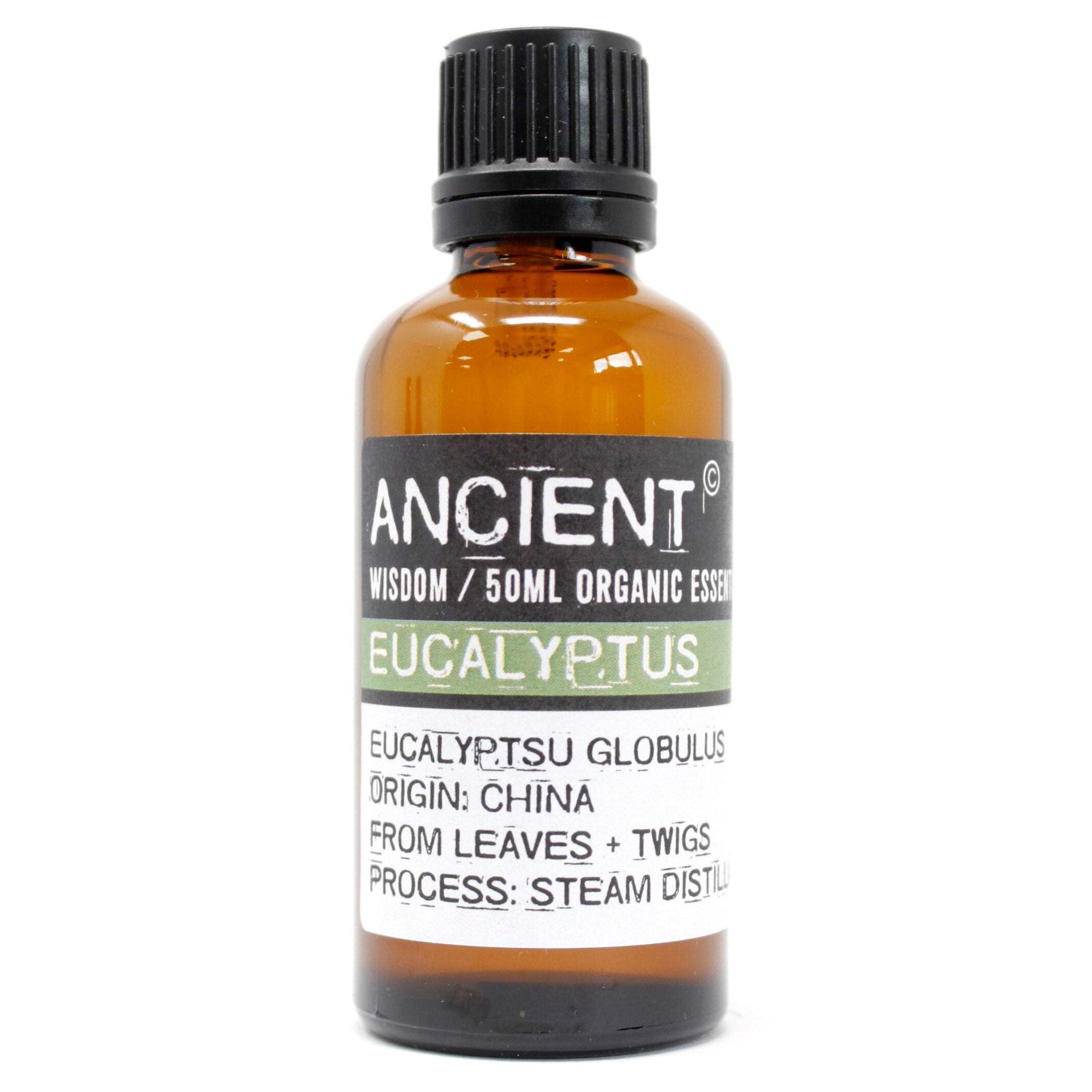 Huile essentielle d'eucalyptus bio Ancient Wisdom 50ml pour diffuseur - 2