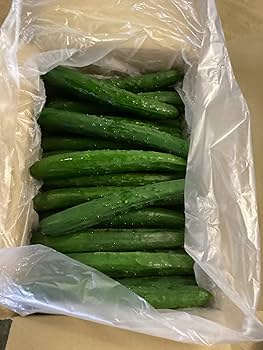 Amazon.co.jp: ベジップル きゅうり 箱込約5kg以上 福岡県産