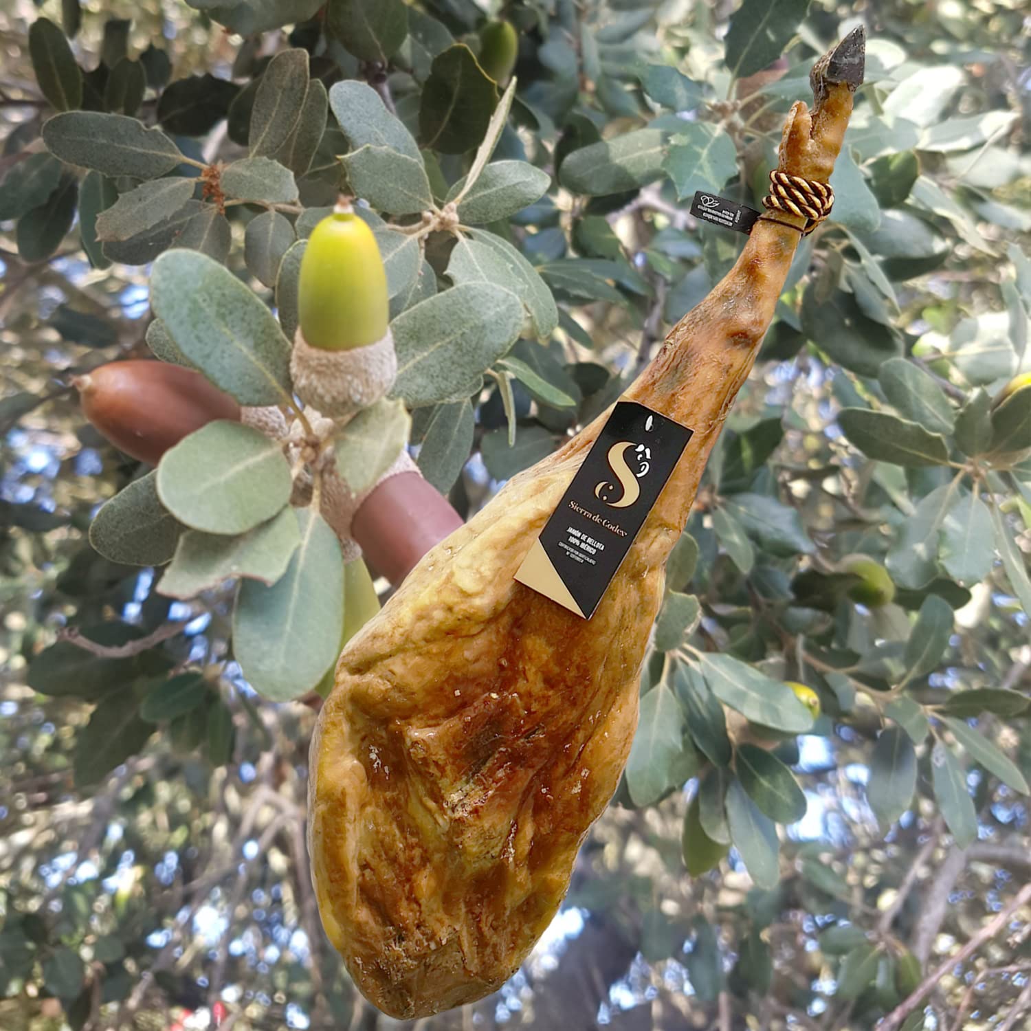 Jamón ibérico 100% de Bellota, auténtico PATA NEGRA. Peso entre 6 y 7 Kg.