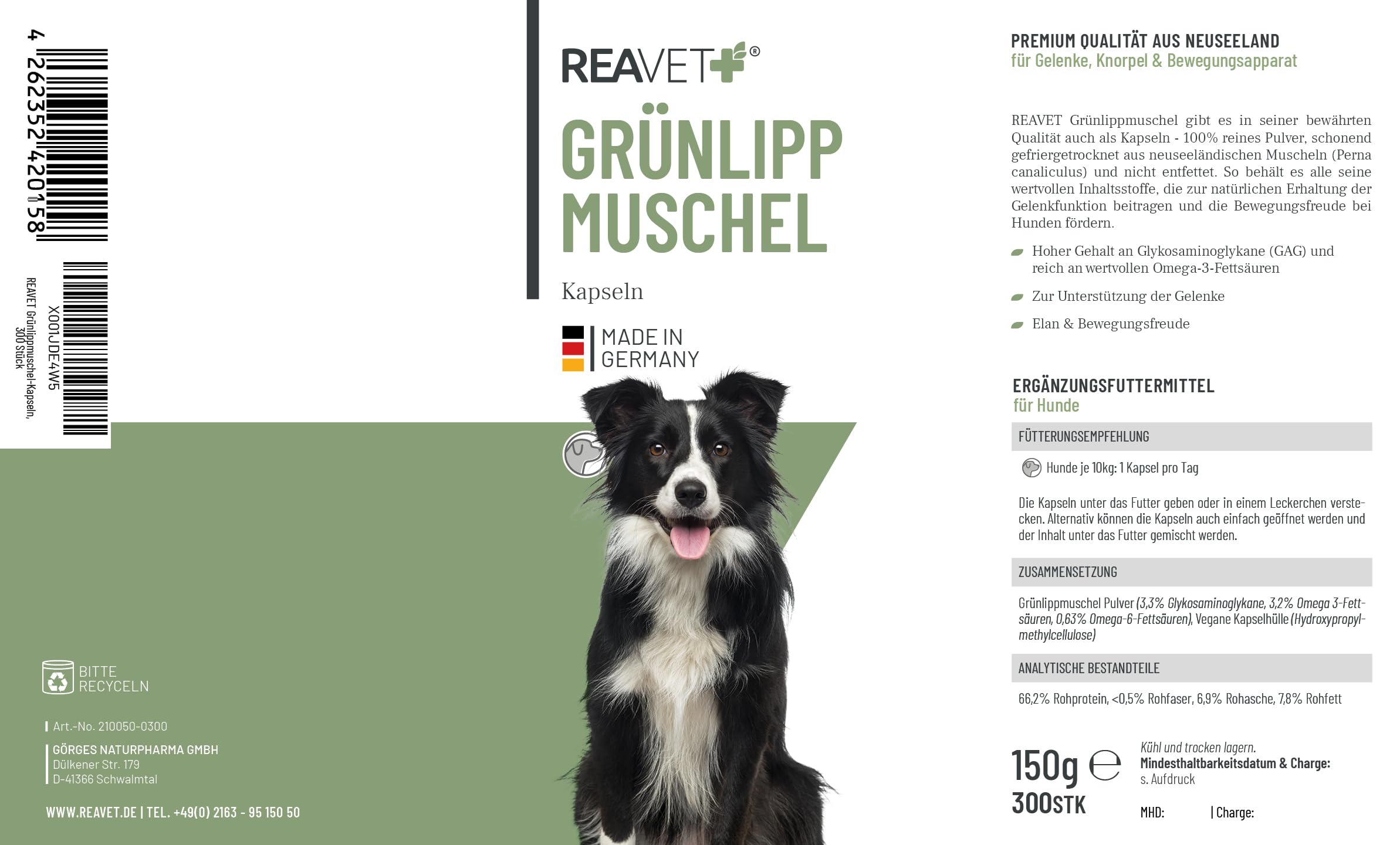ReaVET Grünlippmuschel Kapseln für Hunde hochdosiert 300Stk - Gelenktabletten Hund mit Grünlippmuschelpulver in Vollfettqualität 10,2%, Grünlippmuschelextrakt für Gelenke