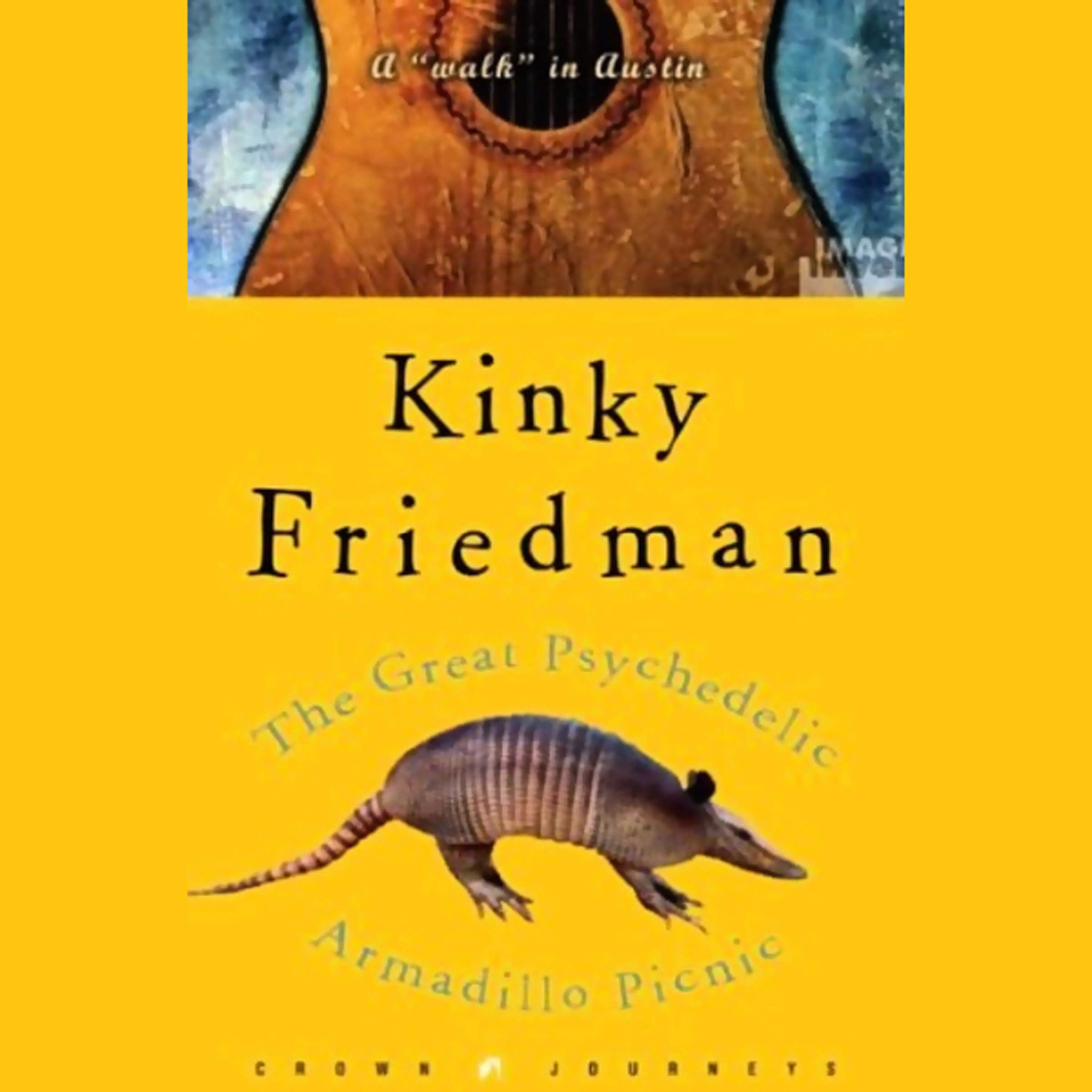 Cover art for The Great Psychedelic Armadillo Picnic