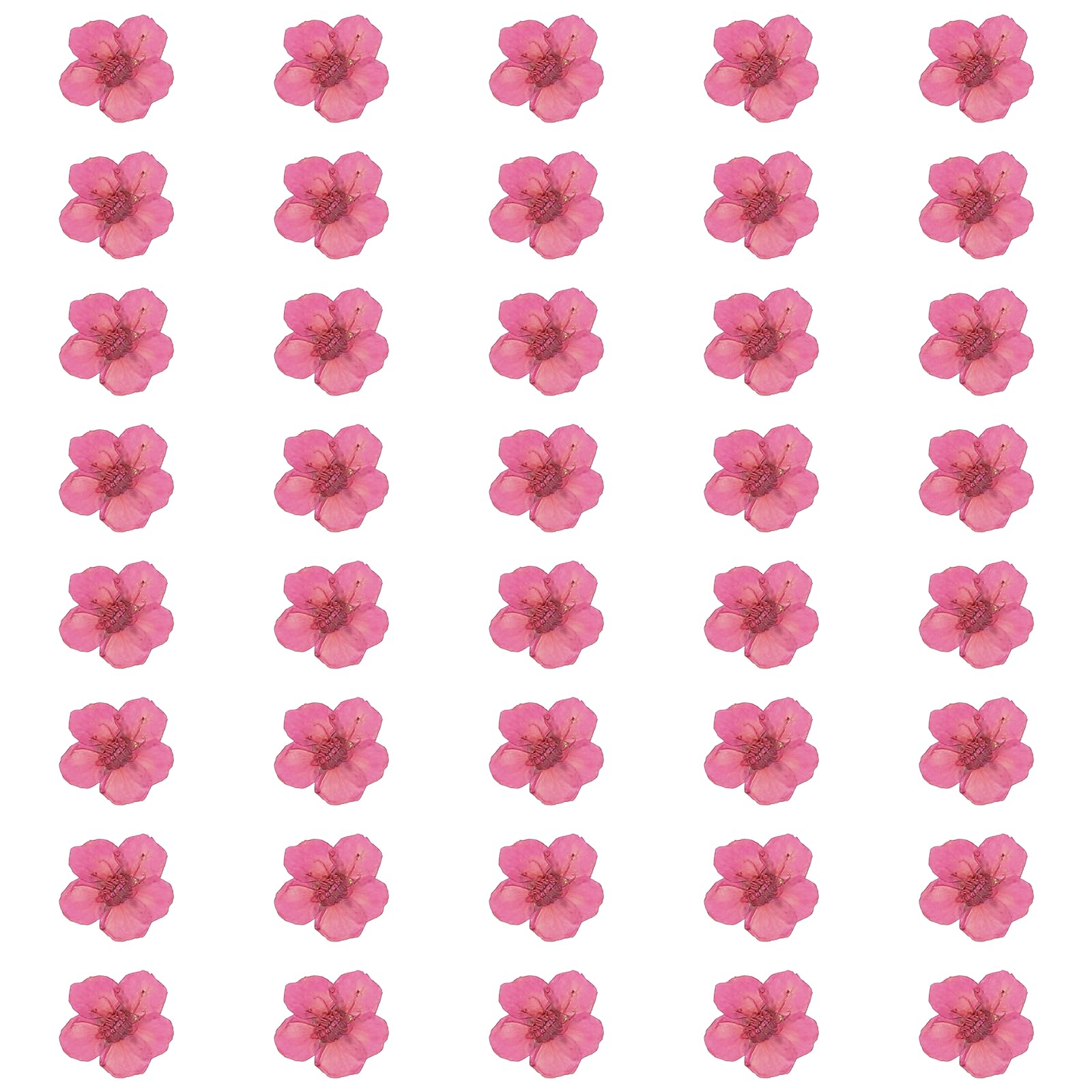 sourcing map 40Pcs Dried Pressed Flowers, 0.24-0.31" Colorful Dried Pressed Narcissus Flowers Bulk for Nail Art Resin Jewelry Candle Card Making Scrapbook Phone Case Decoration, Rose Red