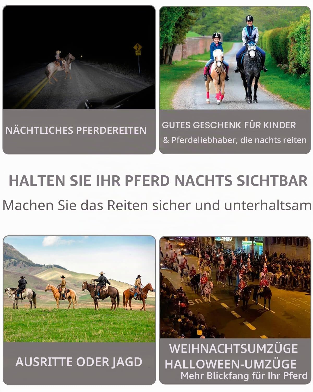 Reiter 2024 V.1 LED-Pferde-Zaumzeug, Mehrfarbig, M