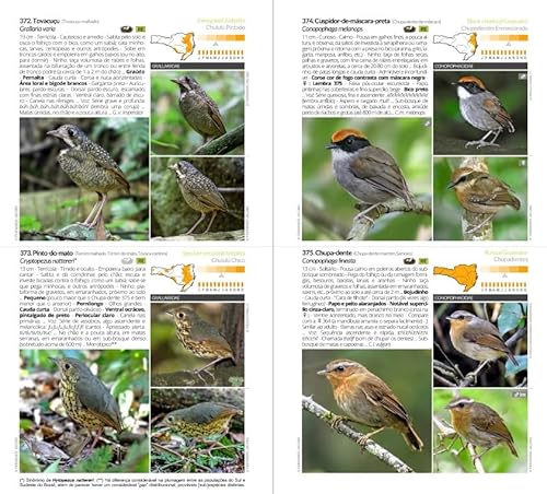 Livro Aves de Santa Catarina: Guia de Identificação - Coleção Aves do Brasil