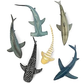 Toymany 6PCS 5-6 L Realistic Shark Bath Toy Figurines, Plastic Ocean Sea Animals Figures Set Includes Great White Shark Cake Toppers Christmas Birthday Gift for Kids Toddlers