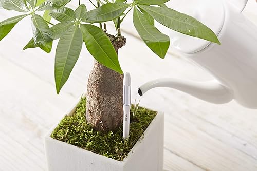 Miniatura 4 de Sustee Aquameter, juego de 5, sensor de humedad del suelo vegetal (verde, mediano)