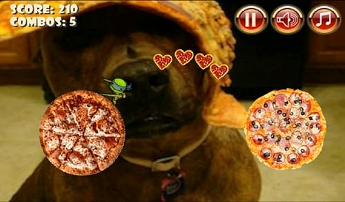 Turtle Pizza Jump (Paid-No Ads)