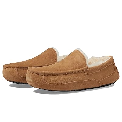 UGG Ascot Men