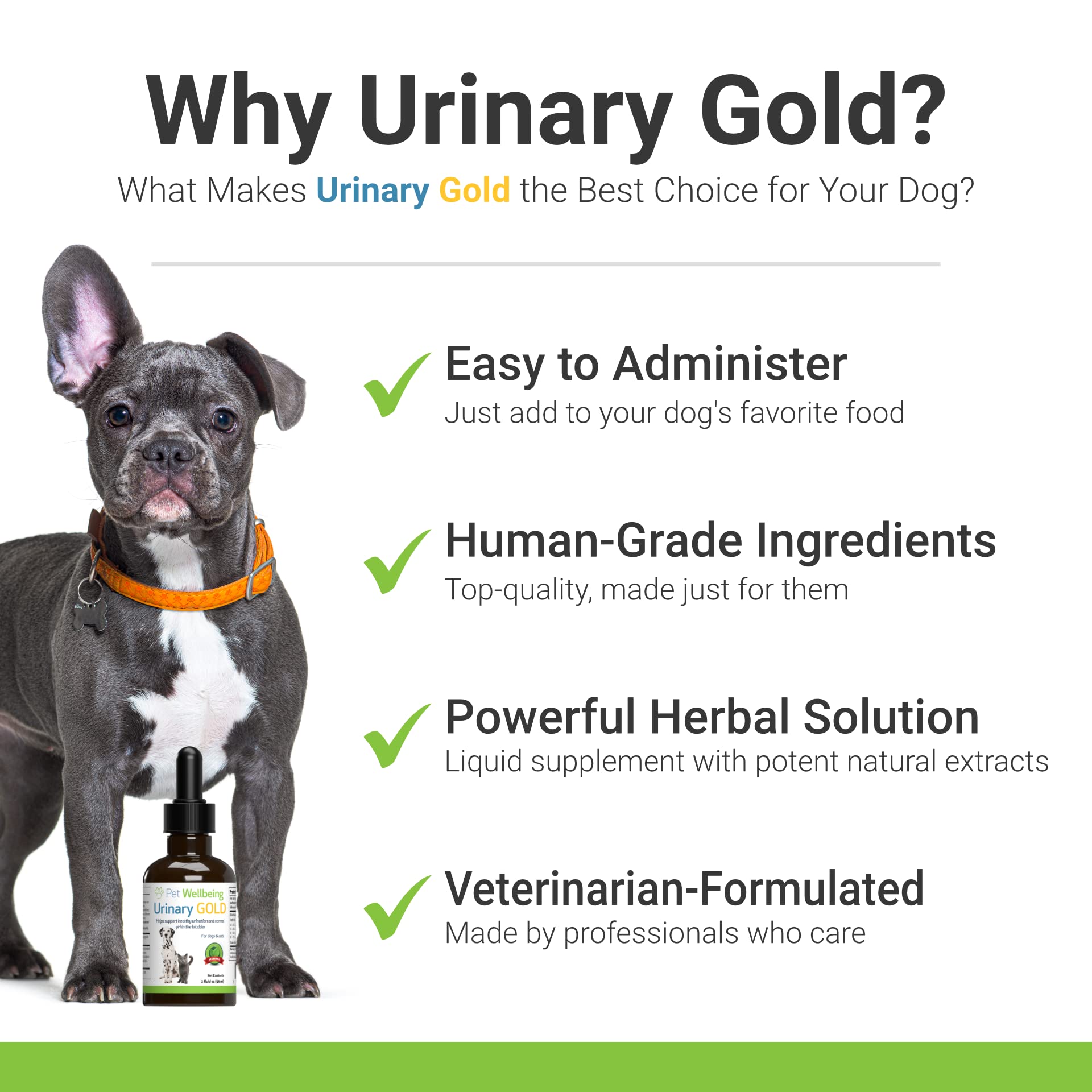 What Causes Urine Crystals In Dogs