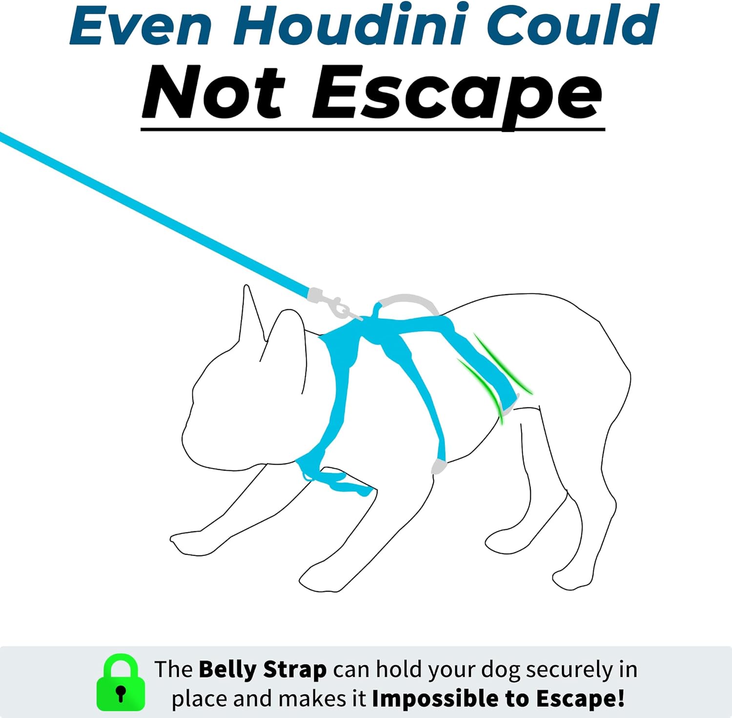 Wuffley Escape Proof Dog Harness and Leash Set, Lightweight Dog Harness with Lift and Assist Handle, No Pull Reflective Pet Vest for Small Medium Dogs, Ideal for Puppy Walking and Training (Blue, M) 3 71OWXtfumBL. AC SL1500
