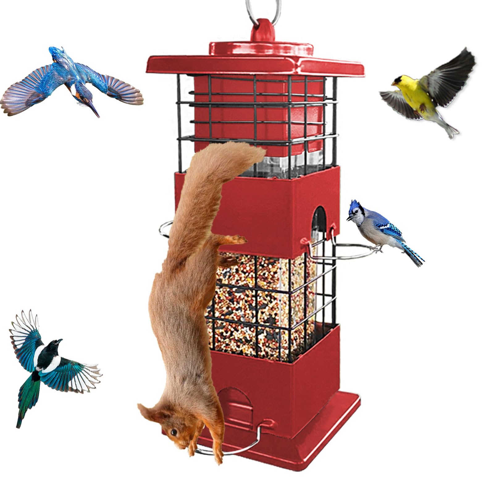 Springwater Inventor Designs Deterrent for Persistent Backyard Pests