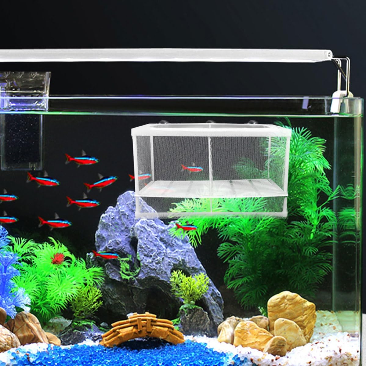 NOLITOY Portable Aquarium Fish Tank Breeding Box with Divider Separation Net Plastic and Nylon Fish Net for Aquarium Breeding