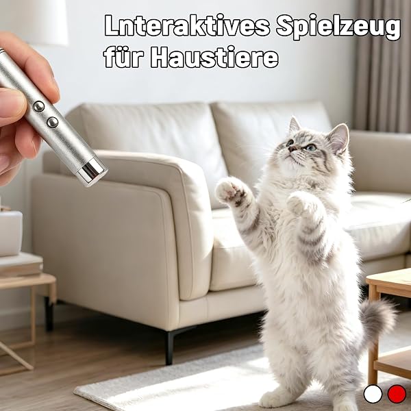 Morofme LED Pointer Katzen Spielzeug 6 Stück, Katzenspielzeug Interaktiv für Katzen und Hunde, Taschenlampe Cat Toys, Nachtbeleuchtung Chase Trainings Lichtspielzeug für Haustiere - 3