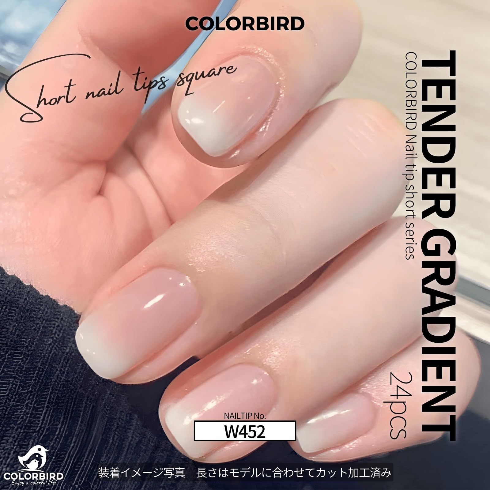Amazon | COLORBIRD ネイルチップ ショート 24枚 ピンク ネイル 付け爪
