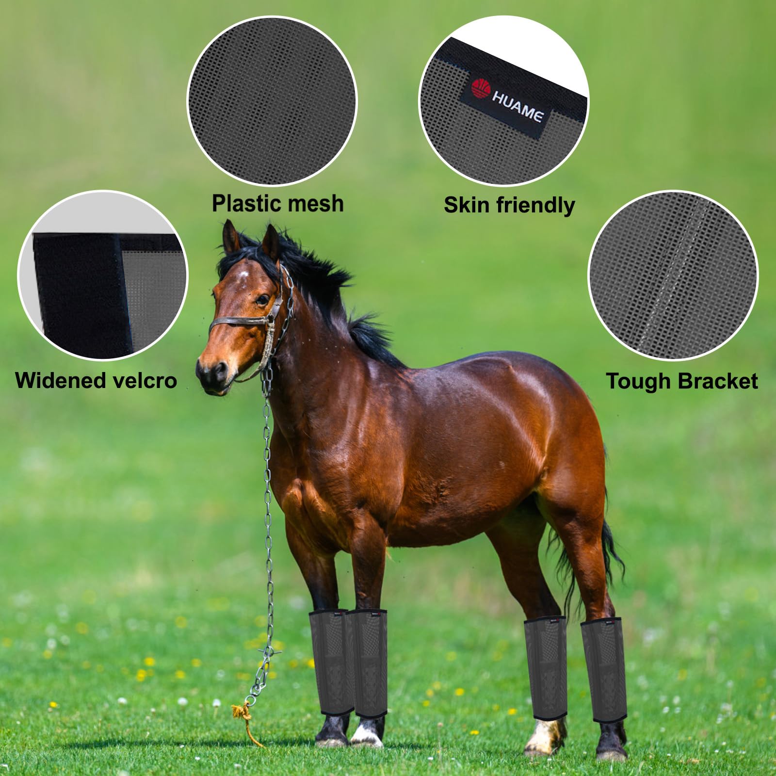 Sabots Et Jambes De Chevaux Photo stock - Image du fermer, chaussure