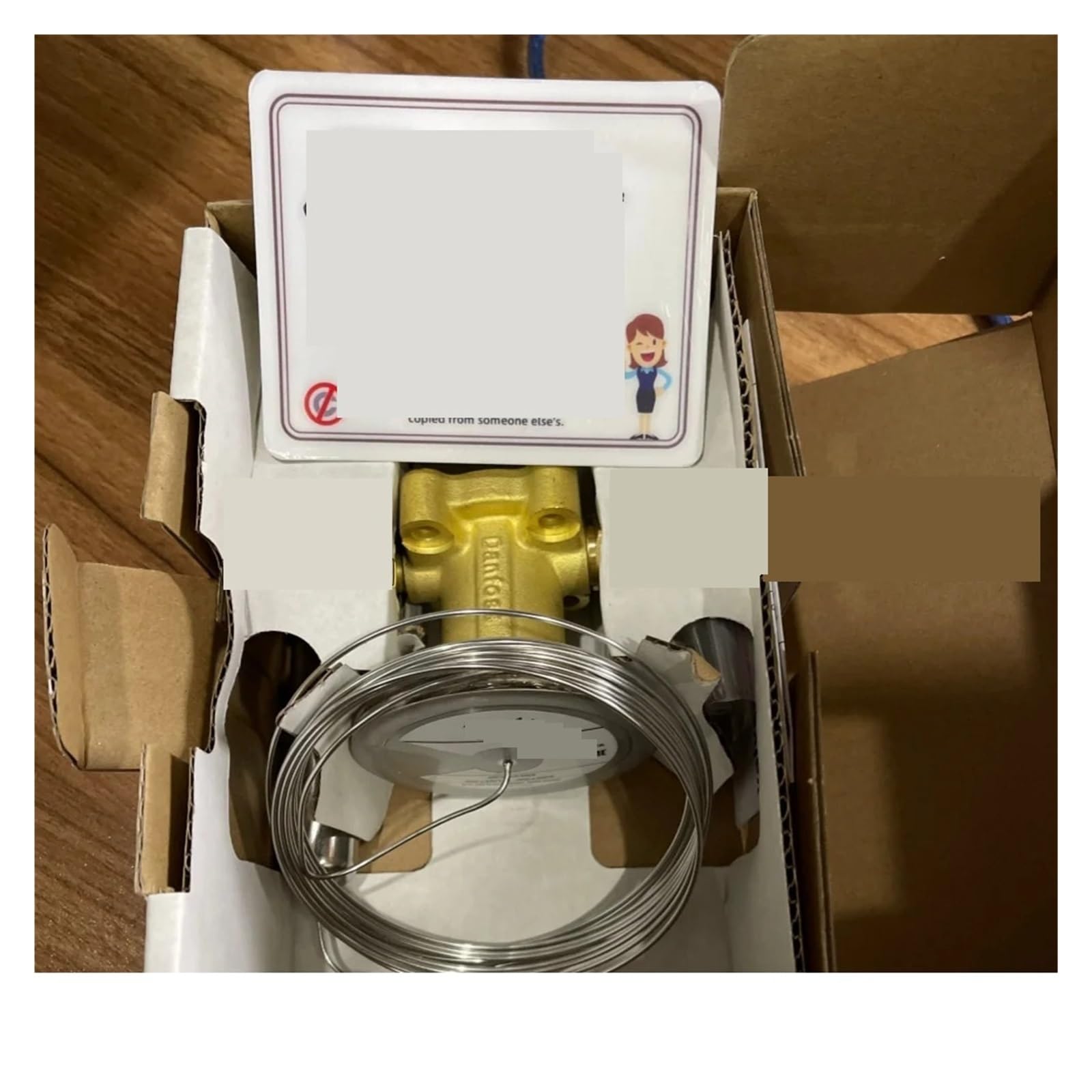 Gtgfcsp One Color Thermostatic Expansion Valve Te55 067G3301 / 067G3302 / 067G3305 / 067G3306(067G3301)