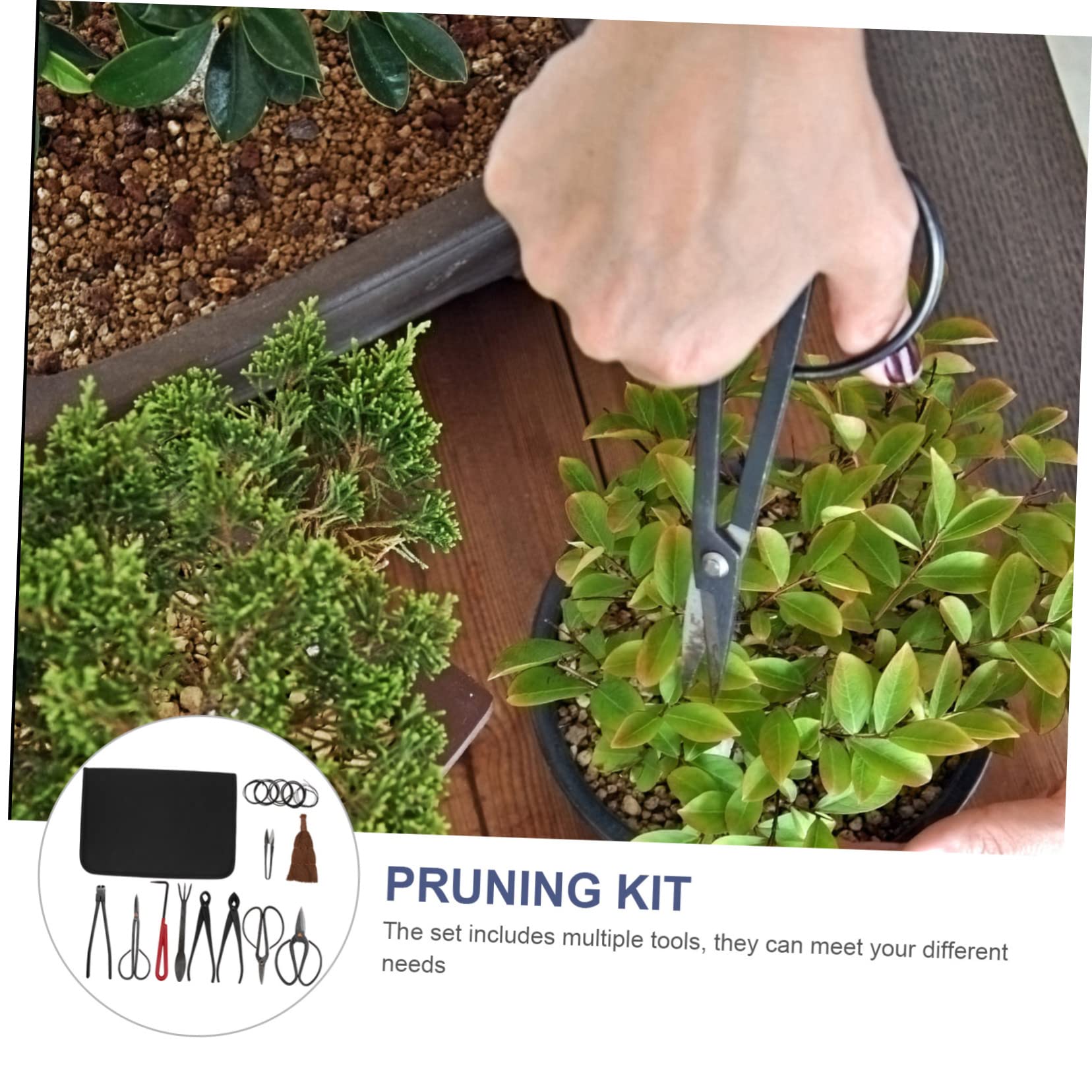 VICASKY 1Set di cesoie da giardino professionali per taglio preciso di piante d'appartamento, durevole e versatile per interni