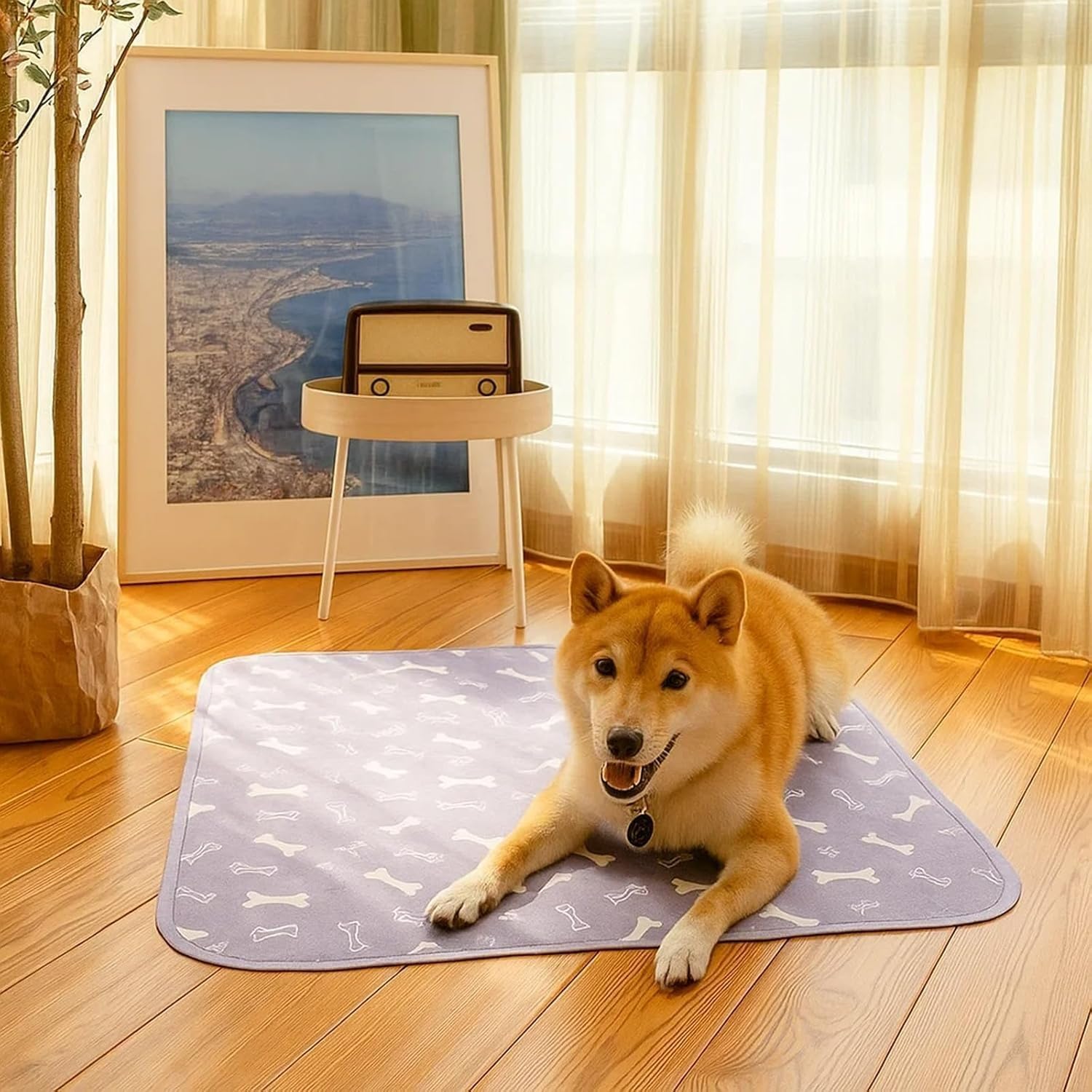 Pee Pads, Washable Reusable Puppy Training Pads, Leak-Proof & Anti-Slip Pet Training Pads for Home & Travel, Easy to Clean & Reuse