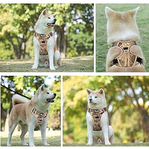 SlowTon No Pull Dog Harness, Heavy Duty No Choke Pet Harness with 2 Leash Clips and Easy Control Vertical Handle, Adjustable Soft Padded Dog Vest for Small, Medium and Large Dogs(Yellow Camo,X-Large)