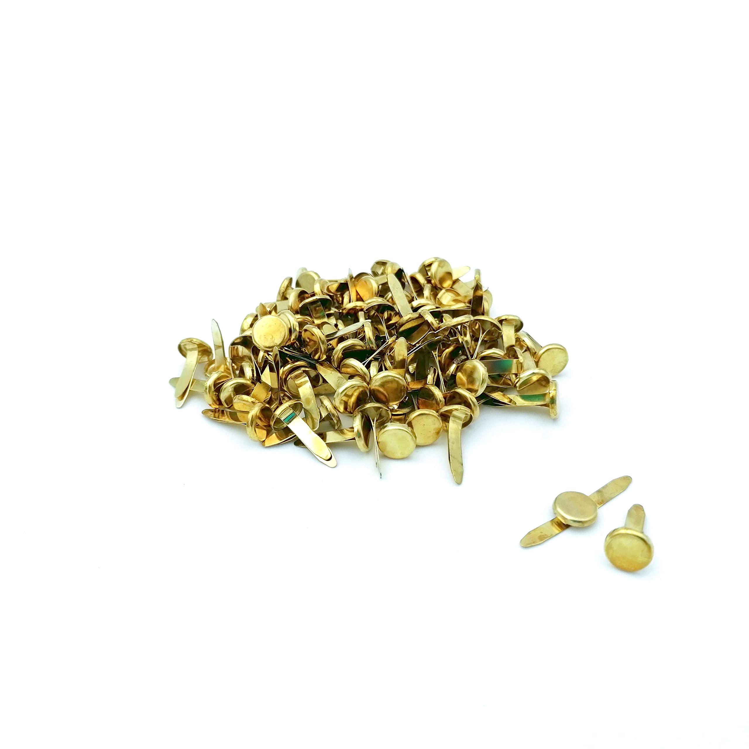 Fermacampioni 14 mm 100 sztuk