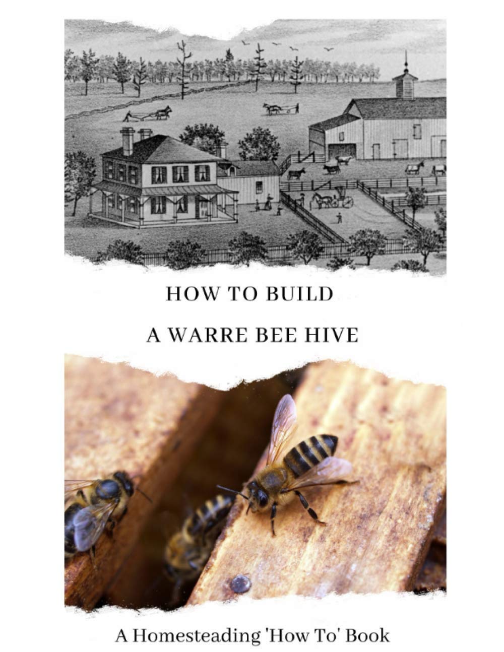 How To Build a Warre Bee Hive: A Homesteading 'How To' Book: 2