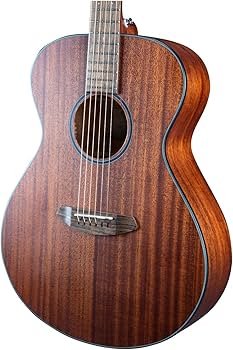 Amazon | Breedlove ECO Discovery S コンサート