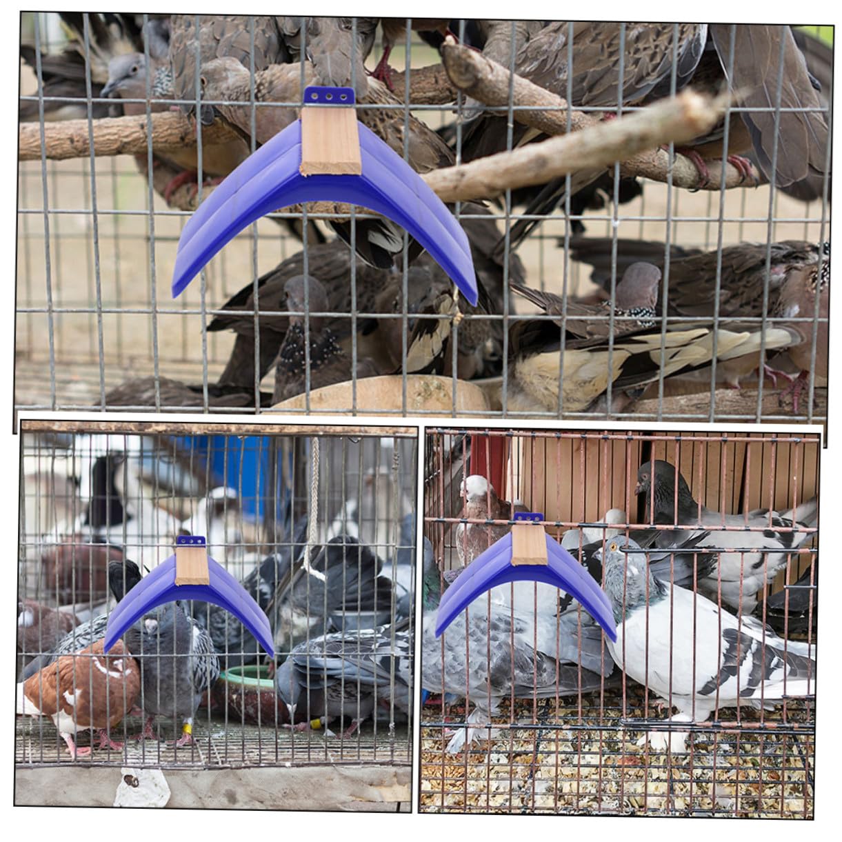 10 pièces Support Perchoir Oiseaux Bois Stand Multifonction pour Pigeons et Perroquets Barres Lisses et Sûres pour Repos et Jeu Adapté Aux Oiseaux Moyens et Grands Accessoire pour