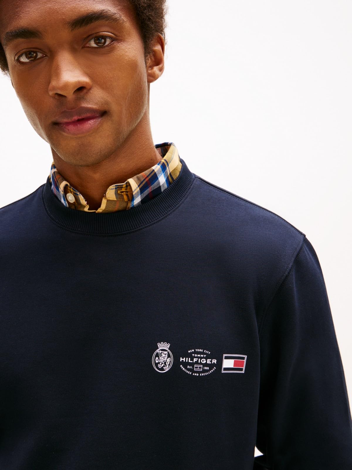 Tommy Hilfiger Męski SMALL CREST OUTLINE CREW NECK MW0MW40863 Pulower Bluza, niebieski, L, Niebieski (pustynne niebo), L