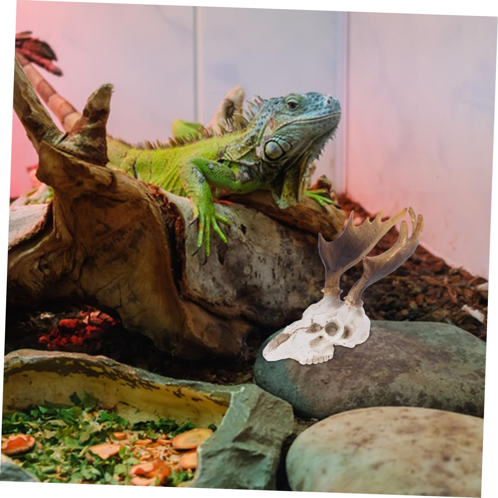 Toddmomy 3stücke Reptile Tank Dekoration Deer Skull Versteck Höhle Für Reptilien Baumaterialien Für Terraristische Pflegeleichtes Harzdesign
