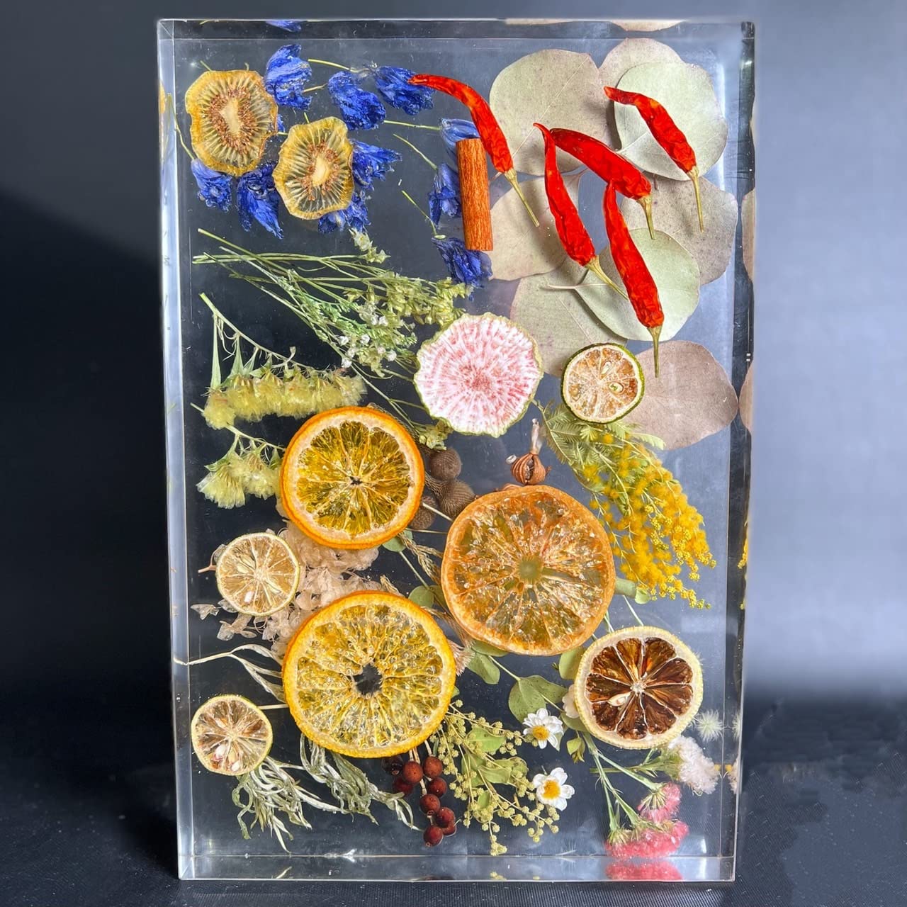 Amazon.co.jp: レジン型枠用 大型シリコンモールド 鏡面仕上げ 耐熱